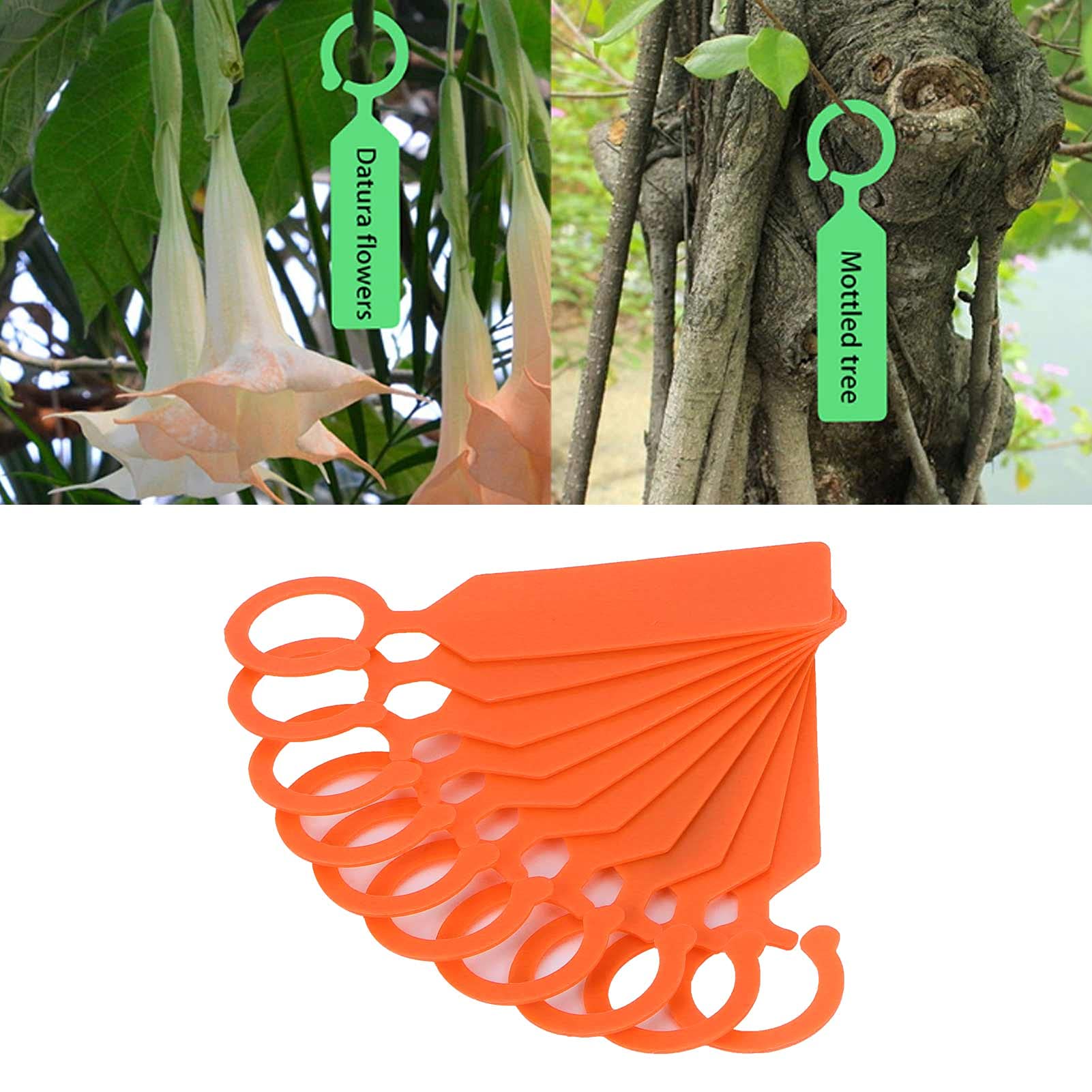 Pl ツリー タグ付けエル 100個 サイン ガーデニング オレンジ Pl Pl ツリー タグ付けエル 100個 サイン ガーデニング オレンジ Pl
