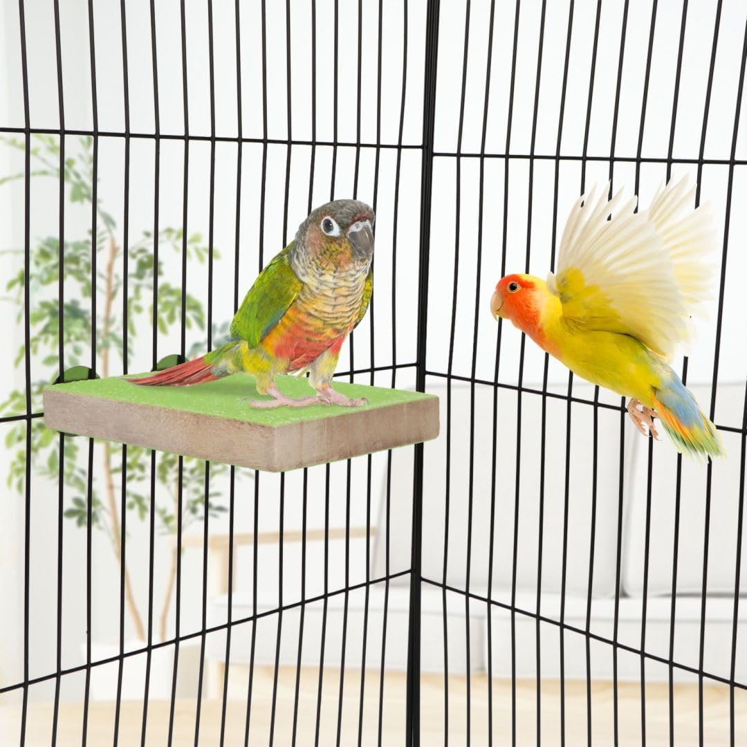 Hypeety Colorful Bird Perch Stand Platform for Parrot Macaw African Greys Budgies Parakeet Cockatiels Natural Wood Paw Grinding Clean Cage Toy (Random Color)(B) image 5