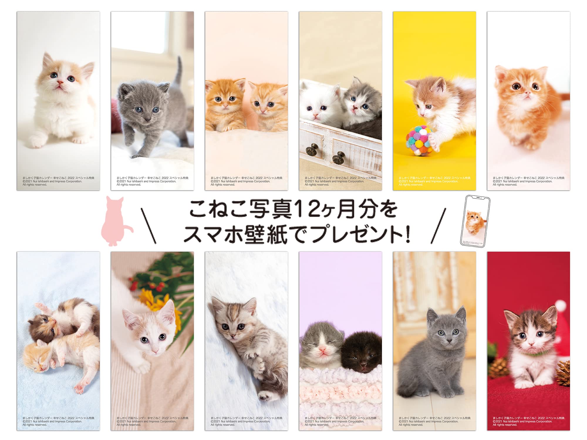 ましかく子猫カレンダー 幸せこねこ インプレスカレンダー22 石橋 絵 本 通販 Amazon