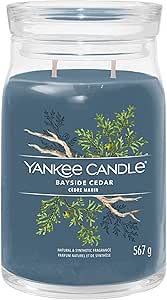 Yankee Candle Signature Duftkerze | große Kerze mit langer Brenndauer „Bayside Cedar“ | Soja-Wachs-Mix | Perfekte Geschenke für Frauen