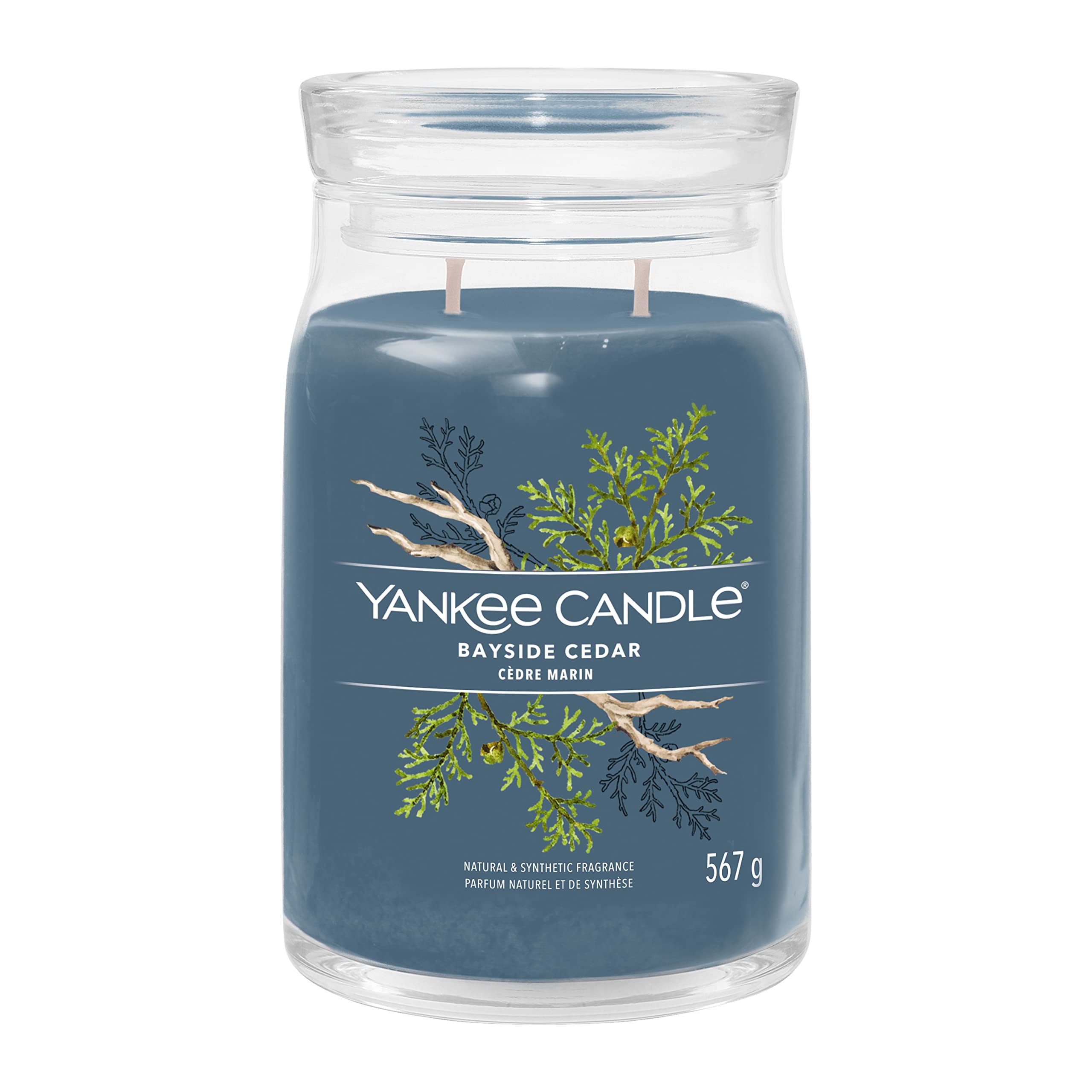 Yankee Candle Signature Candela Profumata, Cedro Lungo La Costa in Giara Grande, Candele di Miscela di Cera di Soia Lunga Durata, Regalo per le Donne