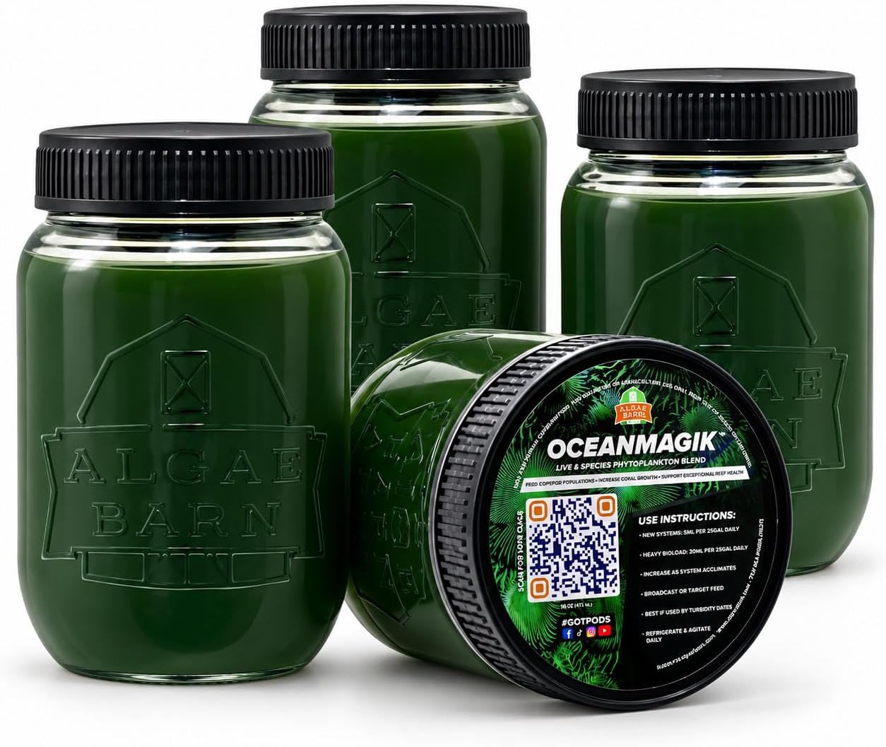 OceanMagik Live Phytoplankton Blend - Tetra x Nanno x Iso x Thal Phyto Food for Coral and Copepod (64oz)
