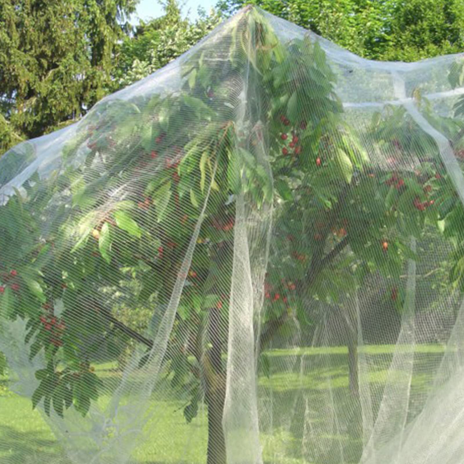 4 Reti Protettive Per Alberi Da Frutto Con Coulisse | Barriera Anti Insetti E Uccelli Per Giardino 2,62x3,28 M