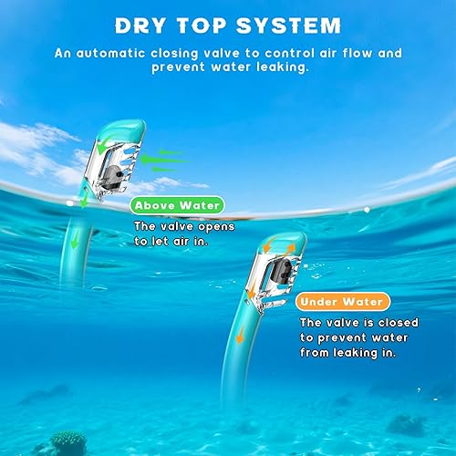 Miniatura 6 de Equipo de esnórquel para adultos, juego de máscara de esnórquel con parte superior seca, máscara de buceo, gafas de natación con cubierta de nariz