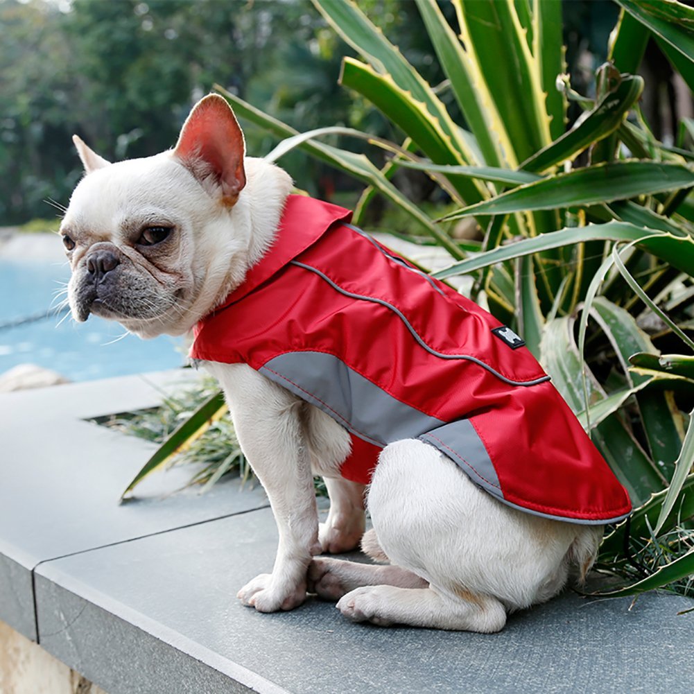 Wholesale commodity Hot sales of goods XSmall Red dog winter coats