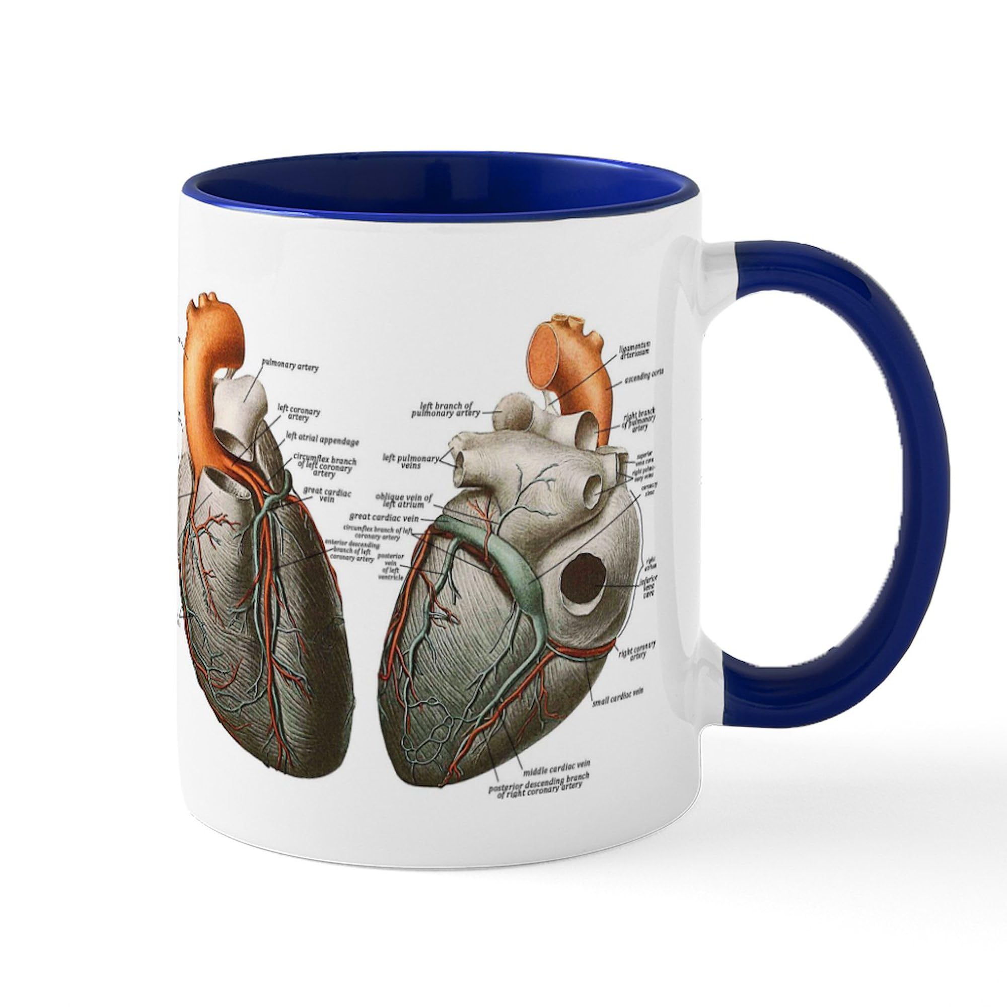 CafePress Anatomy Of The Human Heart Mug 11 oz (325 ml) Ceramic Coffee Mug