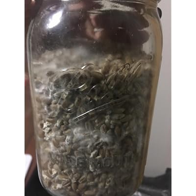 ubuy Brunei
