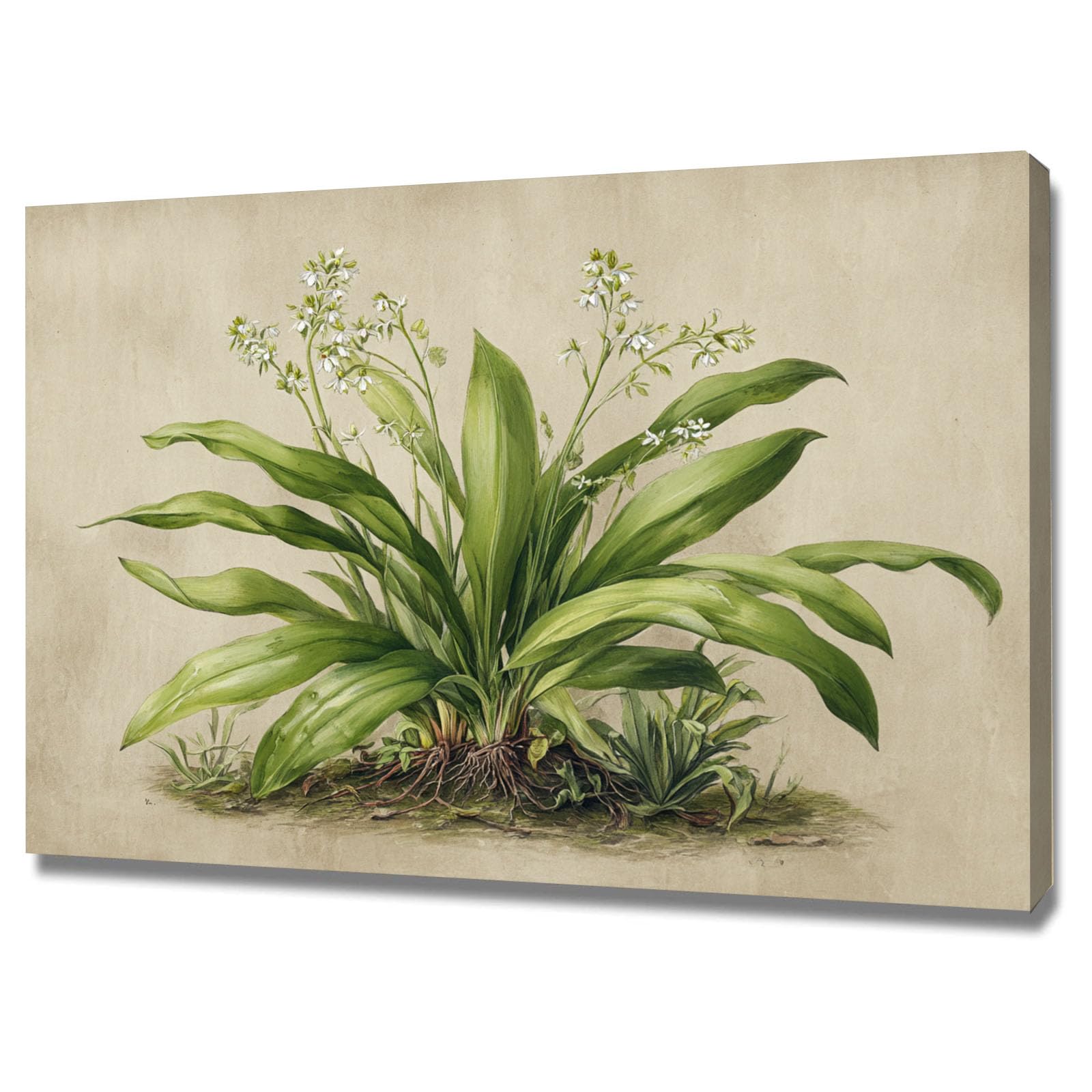 ZAMAEIU Moderno Flores Arte Deco Botánica Plantas verdes pintadas a mano decoración de pared moderna para dormitorio, baño, sala de estar（Verde-50x70cm Enmarcado