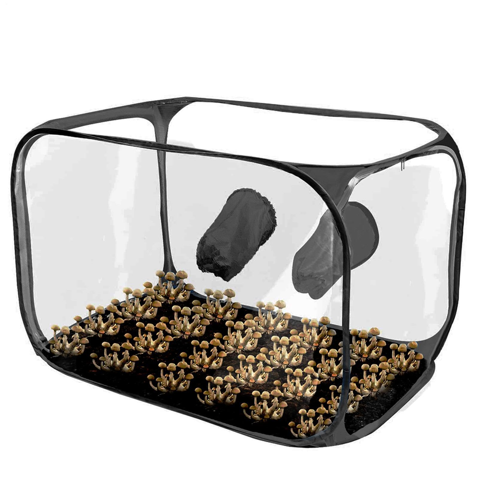Tente de culture en forme de champignon ventilée et pliable