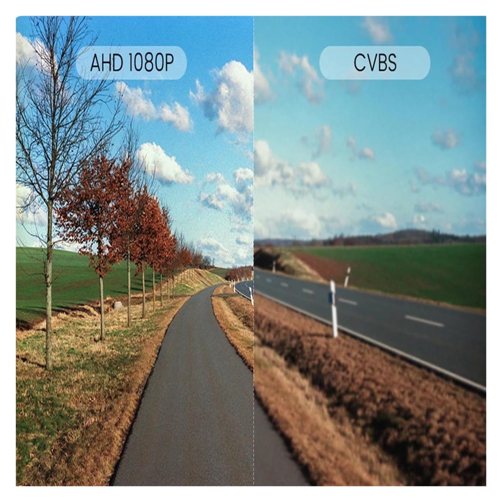HD 1080P Resistente al Agua Cámara de visión Trasera para vehículo Especial, Ojo pez, HD, 1080P, AHD, 170 Grados, para V 6R / para Golf 6 Vi CC(AHD-Dynamic)
