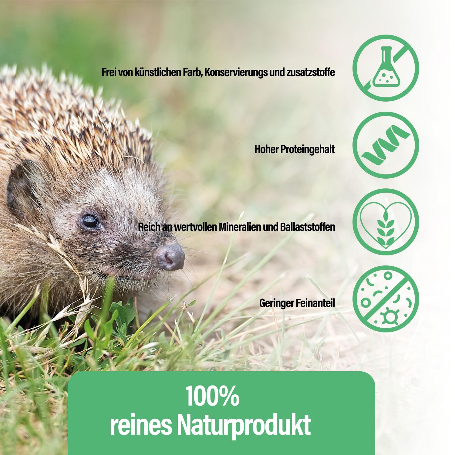 Mączniaki suszone, 1 kg, 6,5 l, naturalna karma dla dzikich ptaków przez cały rok, karma dla ryb, staw, wysoka zawartość białka, kwasy tłuszczowe Omega-3, neutralny zapach, niska zawartość