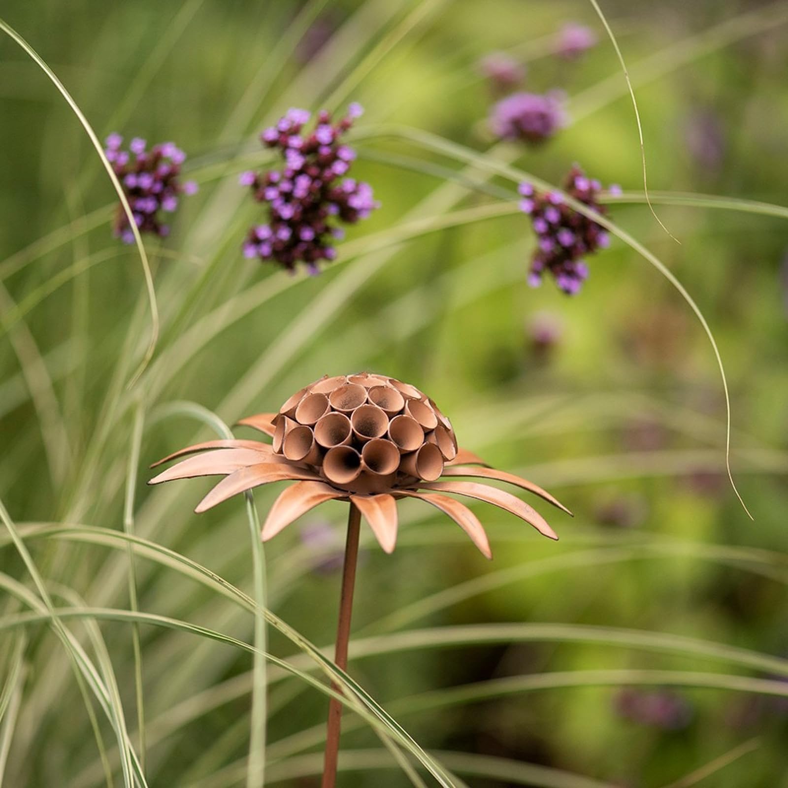 Crocus Brown Collection 114Cm Stake Marker Scabiosa Deadhead For Marking Bulbs And Decorative Garden Interest Rust