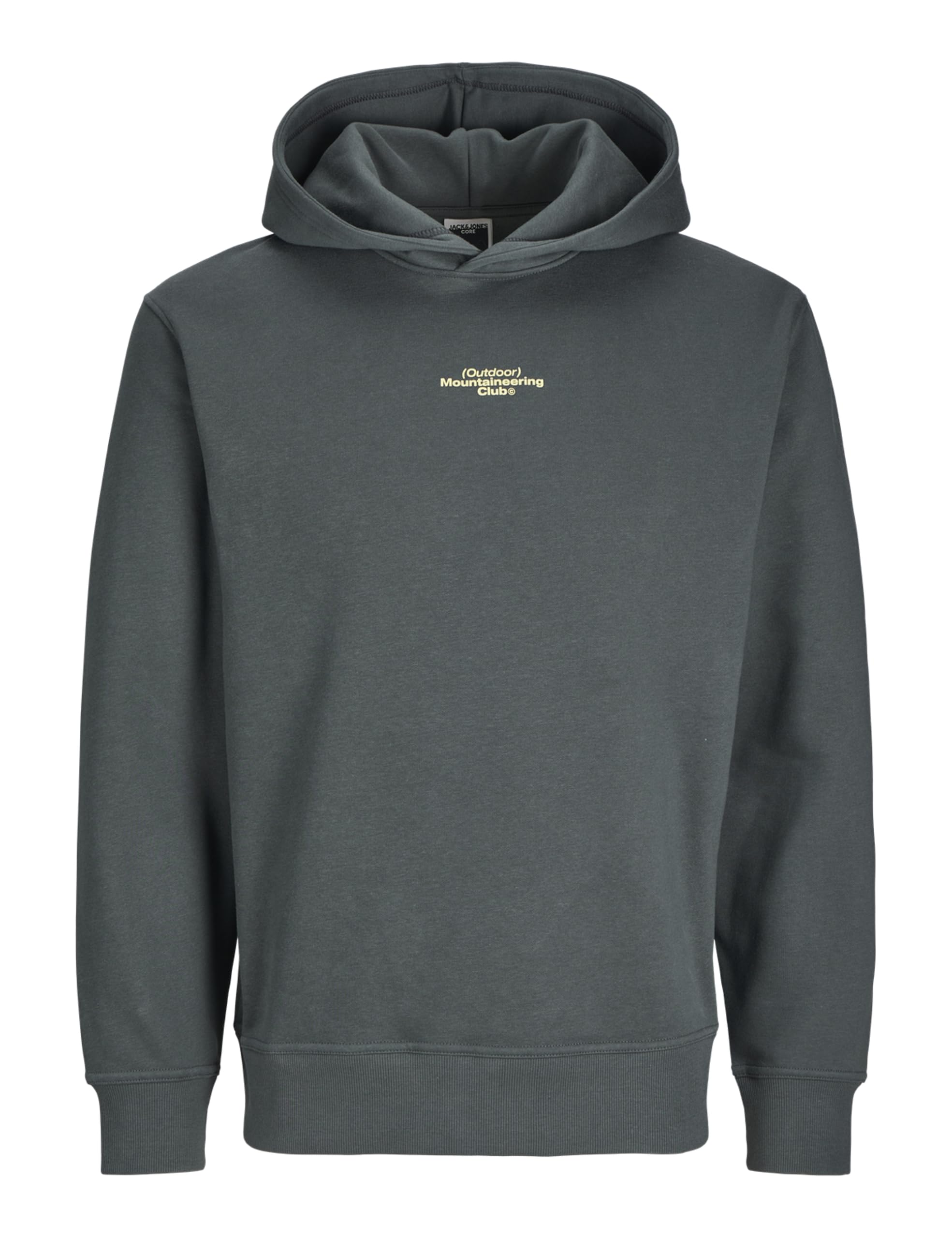 JACK & JONES Men's Jcoalpha Mountain Print Sweat Hood Sweatshirt, Urban Chic, M