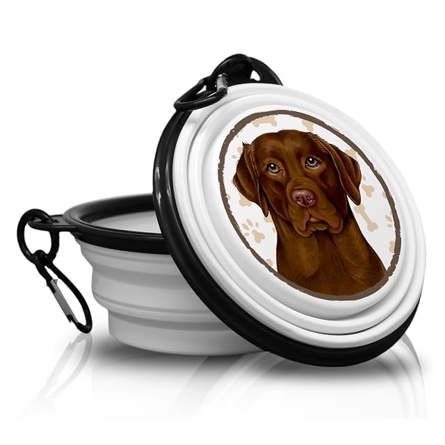 Labrador Chocolate/MARRON - Cuenco para alimentos, cuenco, cuenco de agua, plegable, bebedero portátil…