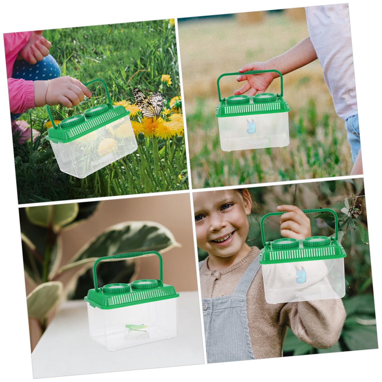 OUNONA 6stücke Insektenbeobachtungsbox Mit Vergrößerungslinse Tragbare Beobachtungseinheit Für Goldfische Für Outdoor-aktivitäten Robustem Und Gefertigt
