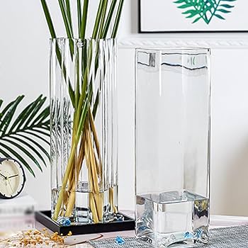 Amazon.co.jp: YJFFQ ガラス花瓶 花瓶 10*25cm 一輪挿し