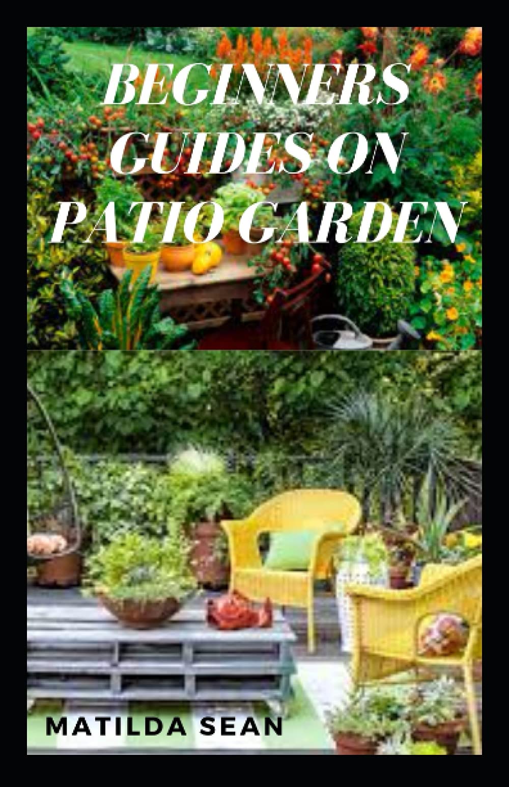 BEGINNERS GUIDES ON PATIO GARDEN: Simple guides on how to start planting and maintaining a Patio Garden
