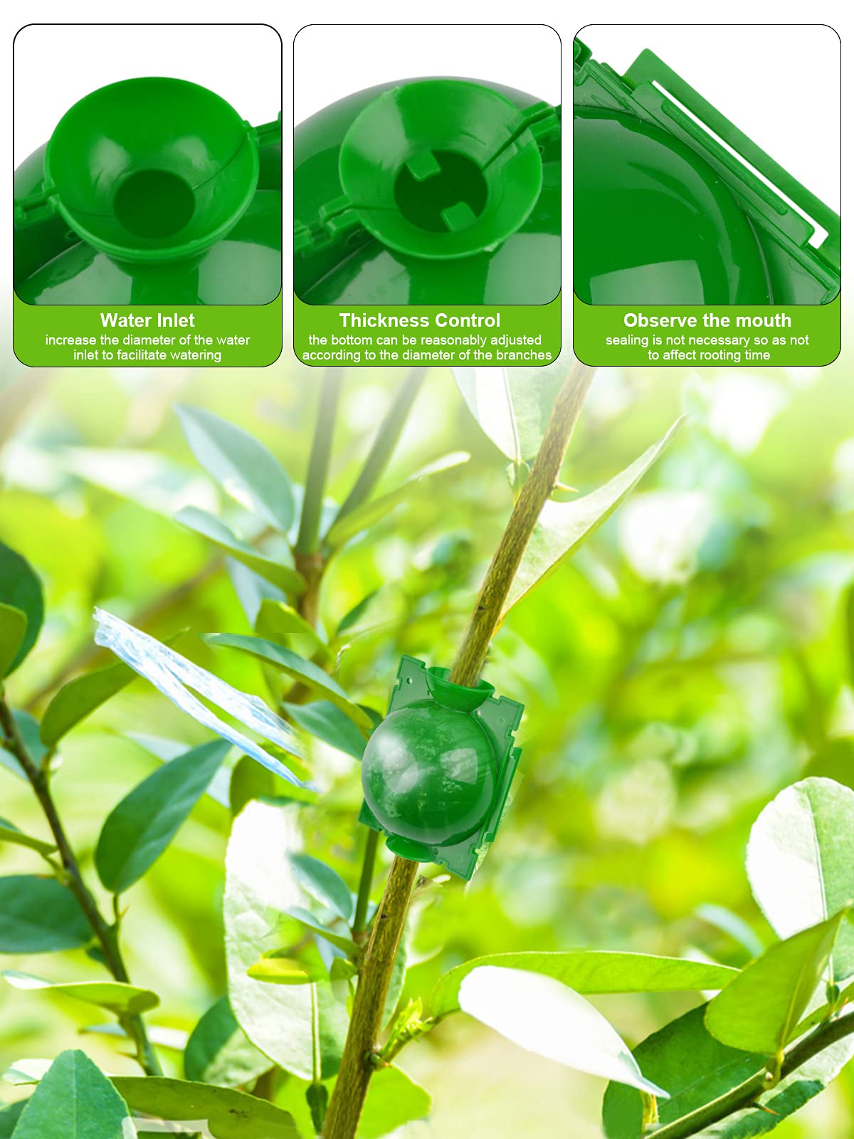 Kalolary Scatola Coltivazione Radici Piante 12 Pezzi Dispositivo Radicazione Piante Scatola Radicatori Sfera Propagazione ad Alta Pressione Innesto Radice Botanica Controller Piante(Piccolo)