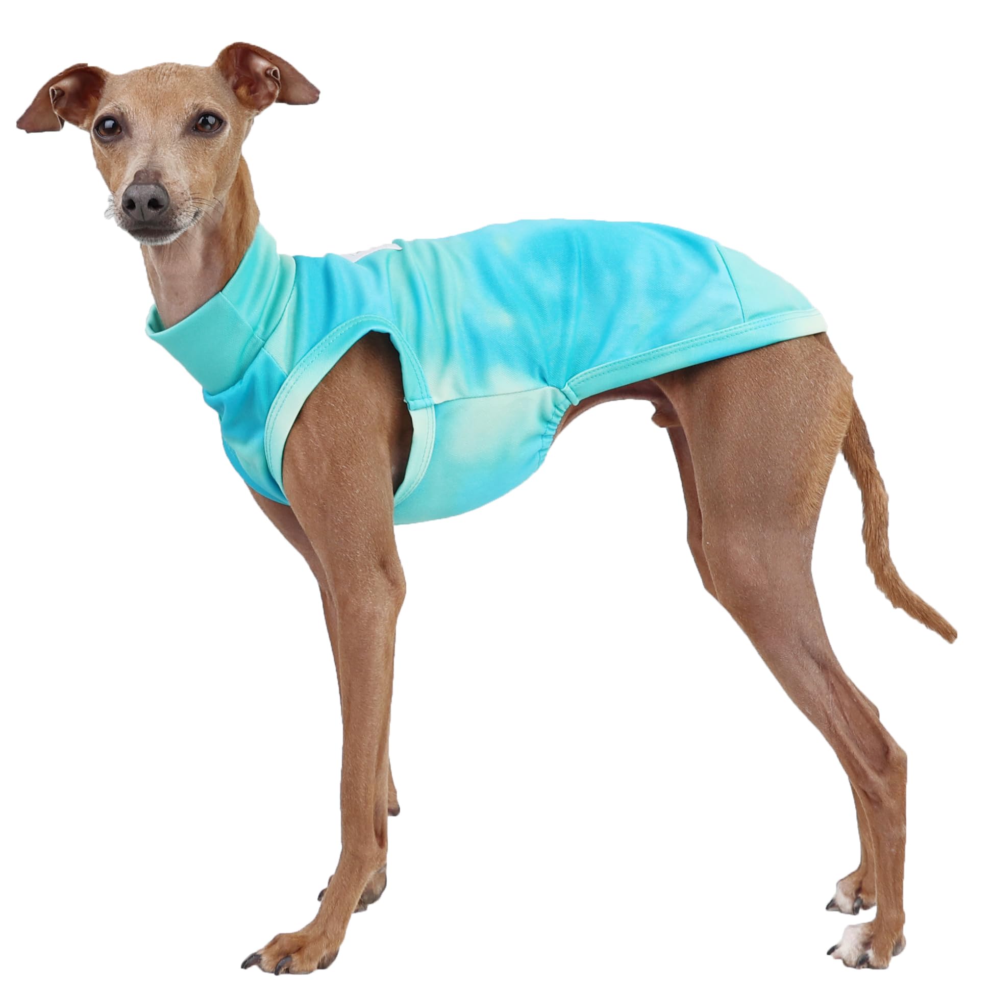 D Doggy Star Italian Greyhound Clothes Summer Cool T Shirts Rashguard Swimsuit Whippet for Dogs (3XL,Cool Stained Mint) โ image 1