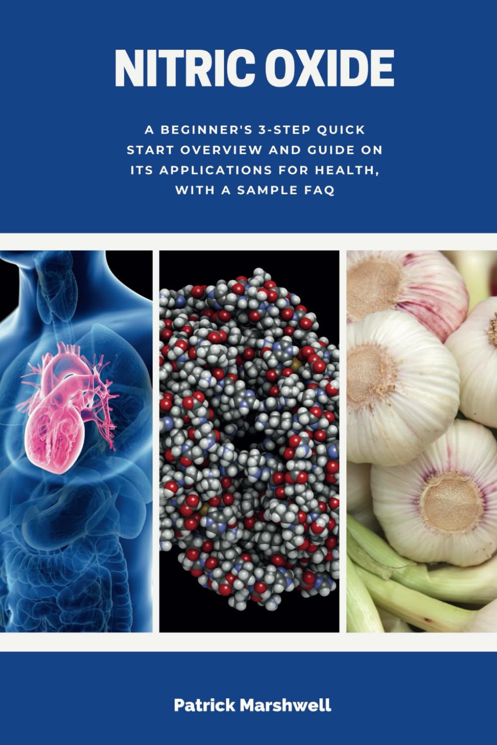 Nitric Oxide: A Beginner's 3-Step Quick Start Overview and Guide on its Applications for Health, With a Sample FAQ