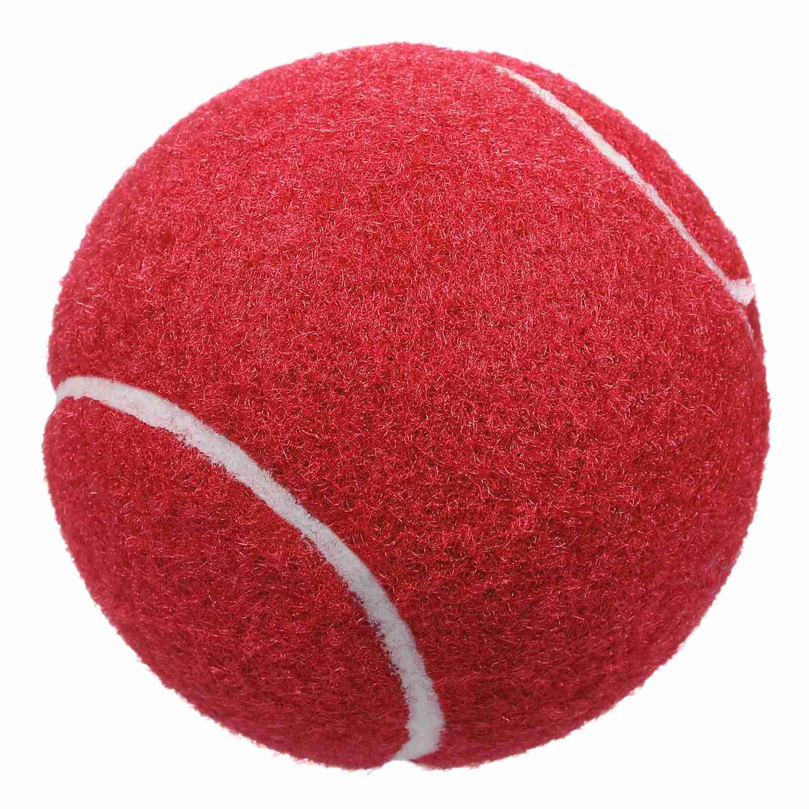 Wakects Palla da tennis abbinata, allenamento pallina da tennis, confezione da 12 palline da tennis senza pressione, vuote per autografi e display, per partite e esercizi