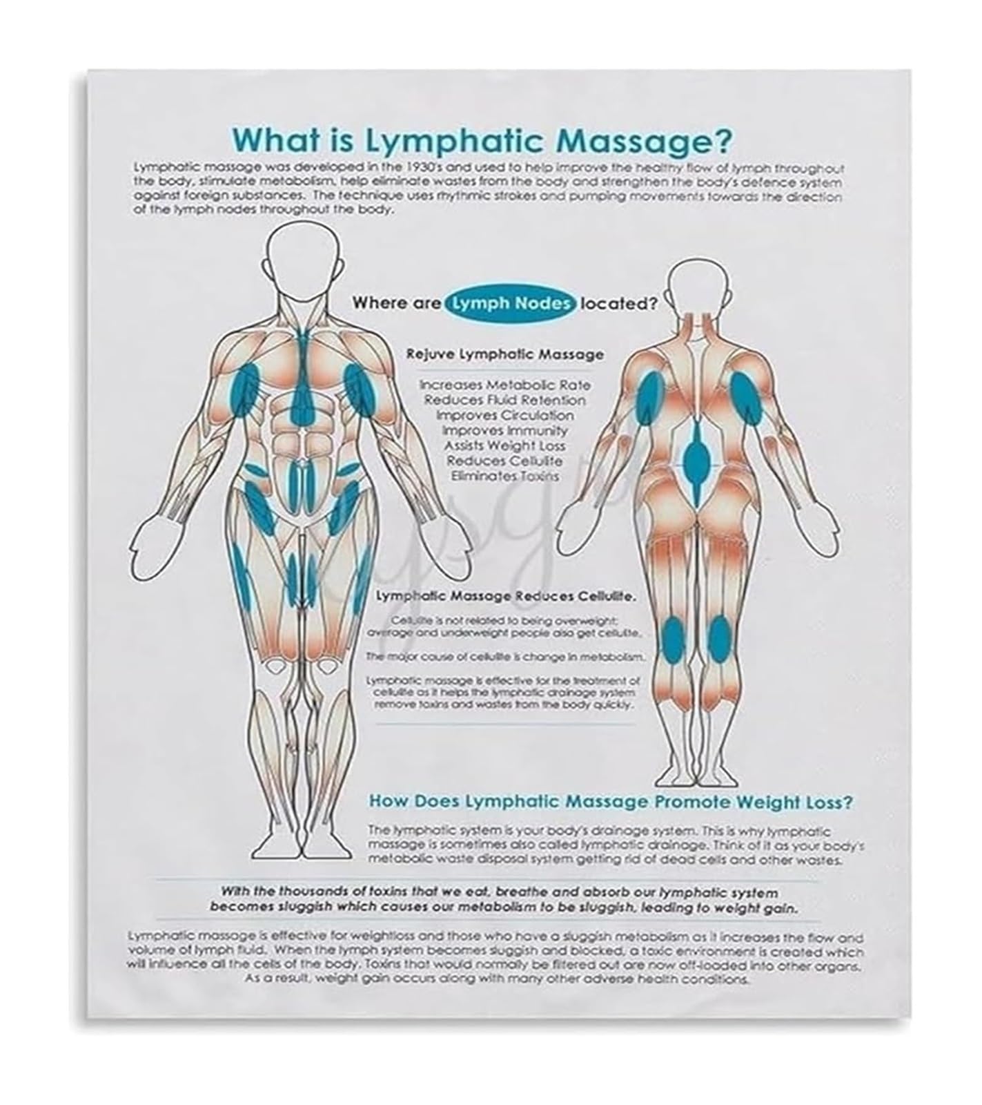 EKFBQBGW Facial Lymphatics Anatomy Health Poster Educational Metal Tin Sign for Wellness Enthusiasts Home Spa Relaxation Room Wall Decor 8 X 12 in