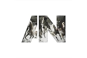 Awolnation: Run