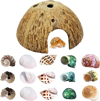 SINKOO 16PCS Hermit Crab Shells 7 Types Growth, Natural Coconut Shell Hut for House Fish Tank Decor Hermit Crab Supplies Reptile Habitat Hideouts