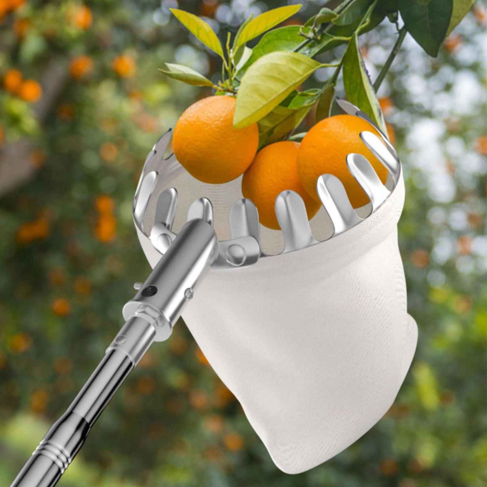LekLai Raccoglitrice Di Frutta, Asta Raccoglitrice Di Frutta con Cestino, Raccoglitrice Di Frutta con Asta Telescopica Estensibile e Manico Antiscivolo Raccoglifrutta Professionale/6M/19.7Ft