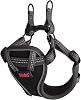 HALTI Anatomy Puppy Harness - Provides Your Puppy Freedom of Movement for Comfortable Walking. Easy-Fitting with 4 Points of Adjustment. Suitable for Miniature Dog Breeds Size XX-Small, Grey