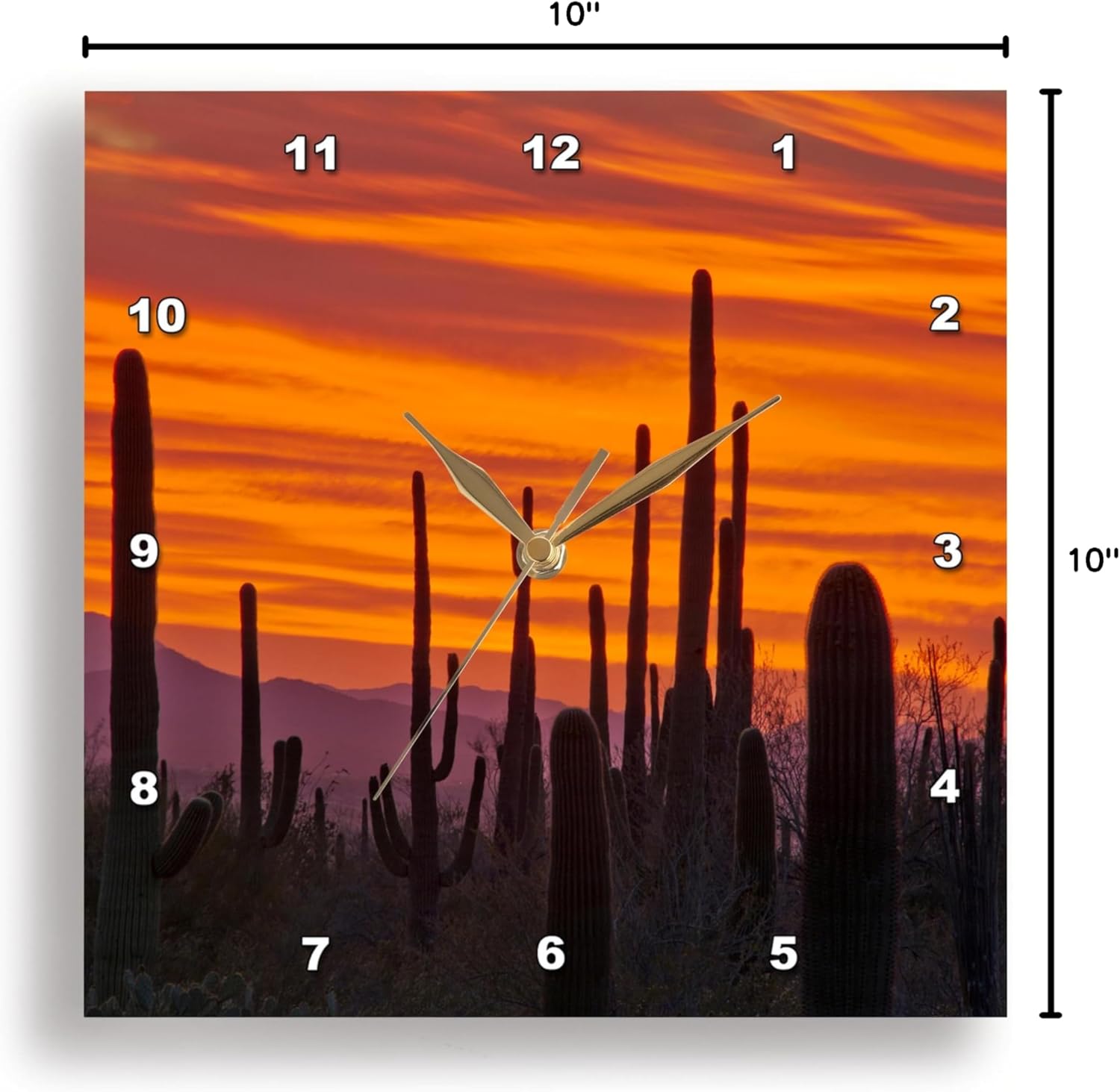 3dRose Saguaro, Sunset, Saguaro National Park, Arizona, USA - Wall Clock, 10 by 10-Inch (DPP_207773_1)