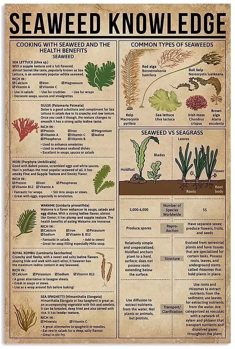 Seaweed Knowledge Metal Signs, Fun Poster For Bar Kitchen Cafe Farmhouse Wall Decor 8x12inch