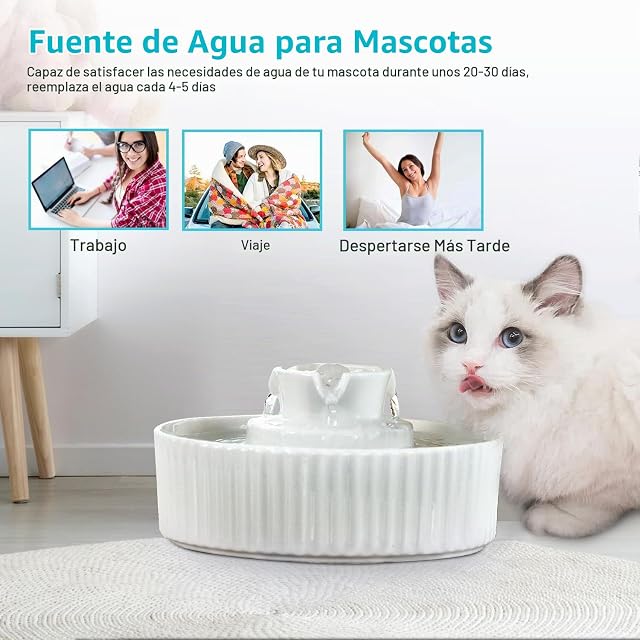 Foto 8 de 8 de Fuente para gatos de cerámica, 2,1 L, para gatos, cerámica, dispensador de agua silencioso