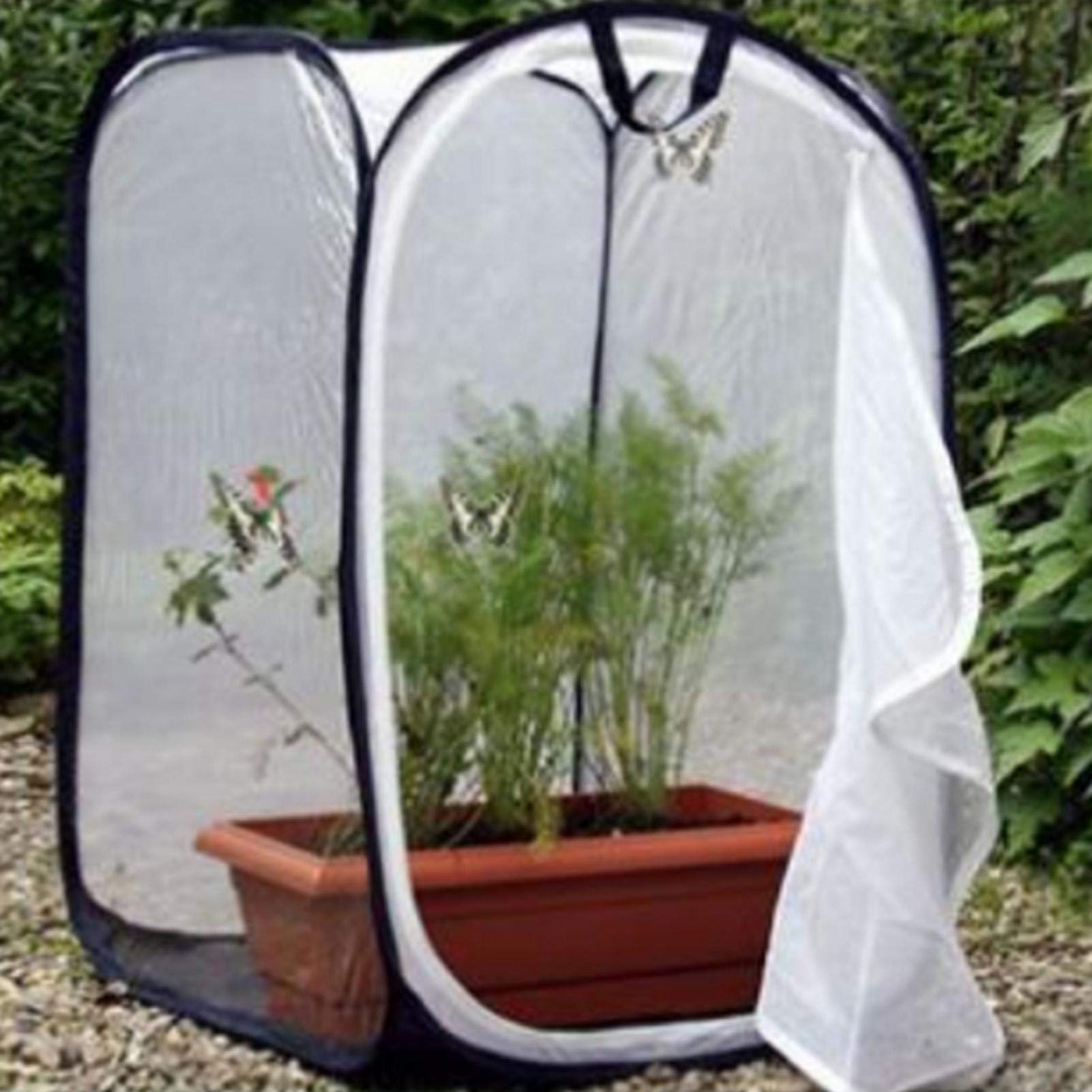 Amazon.co.jp: 昆虫ケージ メッシュ カマキリ/蝶/爬虫類 飼育ケース