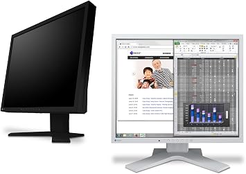 Eizo FlexScan S1934 16" WLED 54 IPS Office Monitor with Built-in Speakers and Height Adjustable Stand, Black