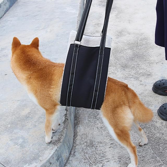 Foto 8 de 8 de uikios Arneses de elevación regulables para perros, arneses de soporte de cadera