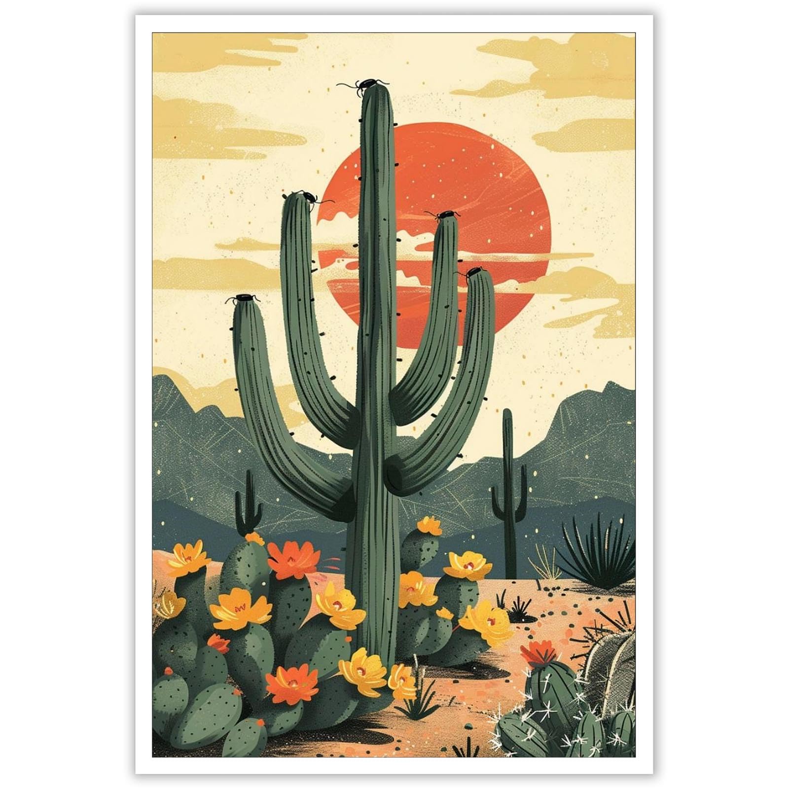 cactus pc variegated PC