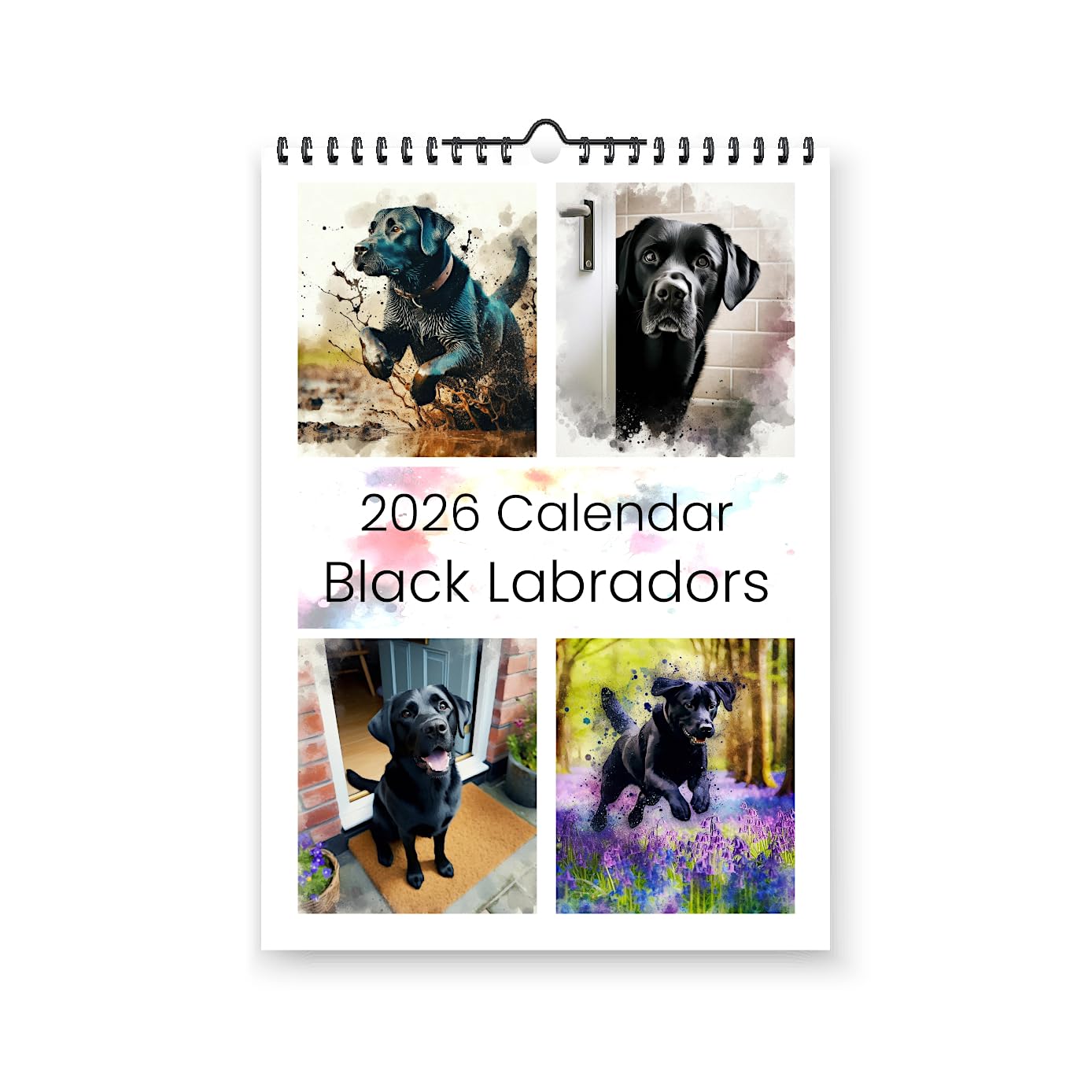 Black Labradors 2026 Yearly Wall Hanging Calendar - Splash Effect Watercolour Prints