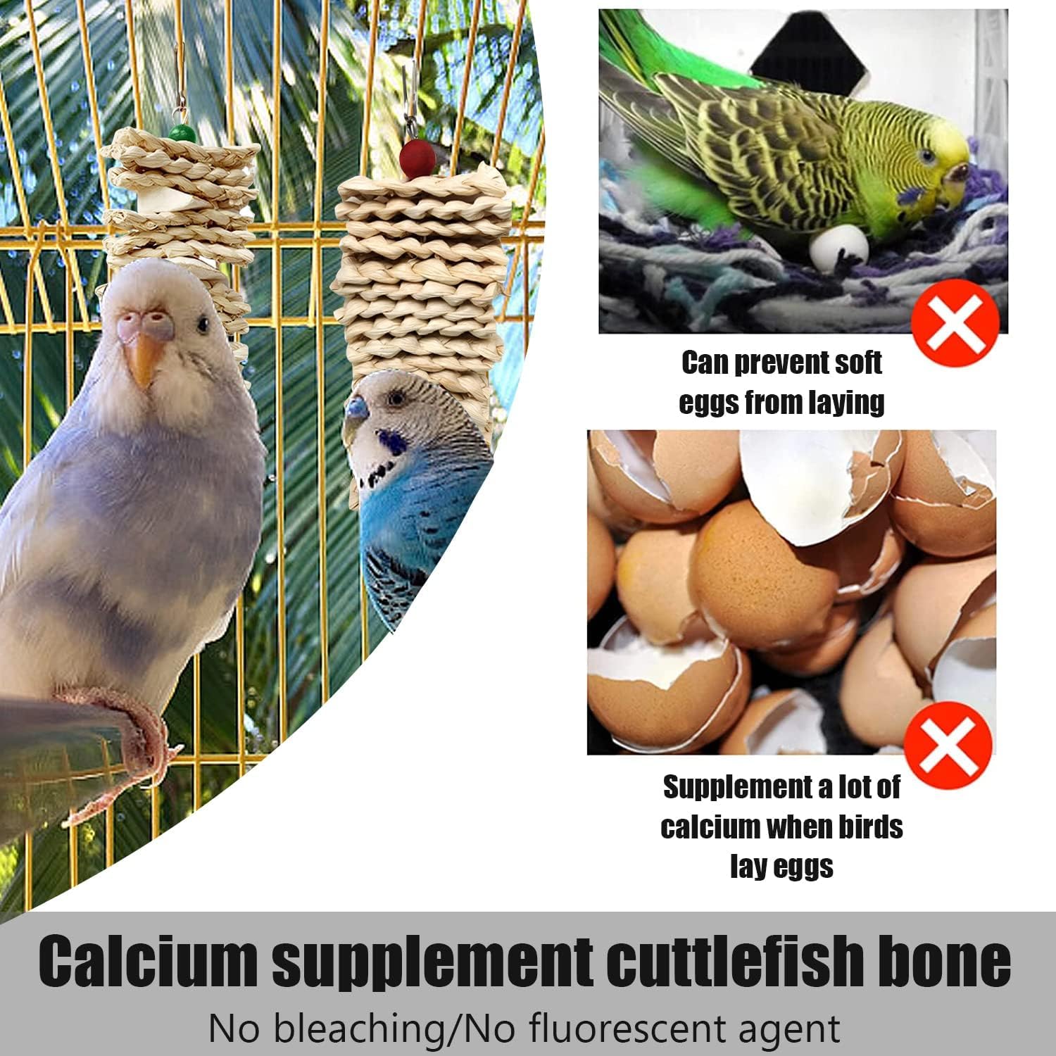 Newsmy 11 Pack Cuttlefish Bone for Birds, Natural Cuttlebone for Parrots and Budgies, Calcium Chew for Beak Care, Suitable for Snails and Tortoise [11Pcs 10CM] — view 7