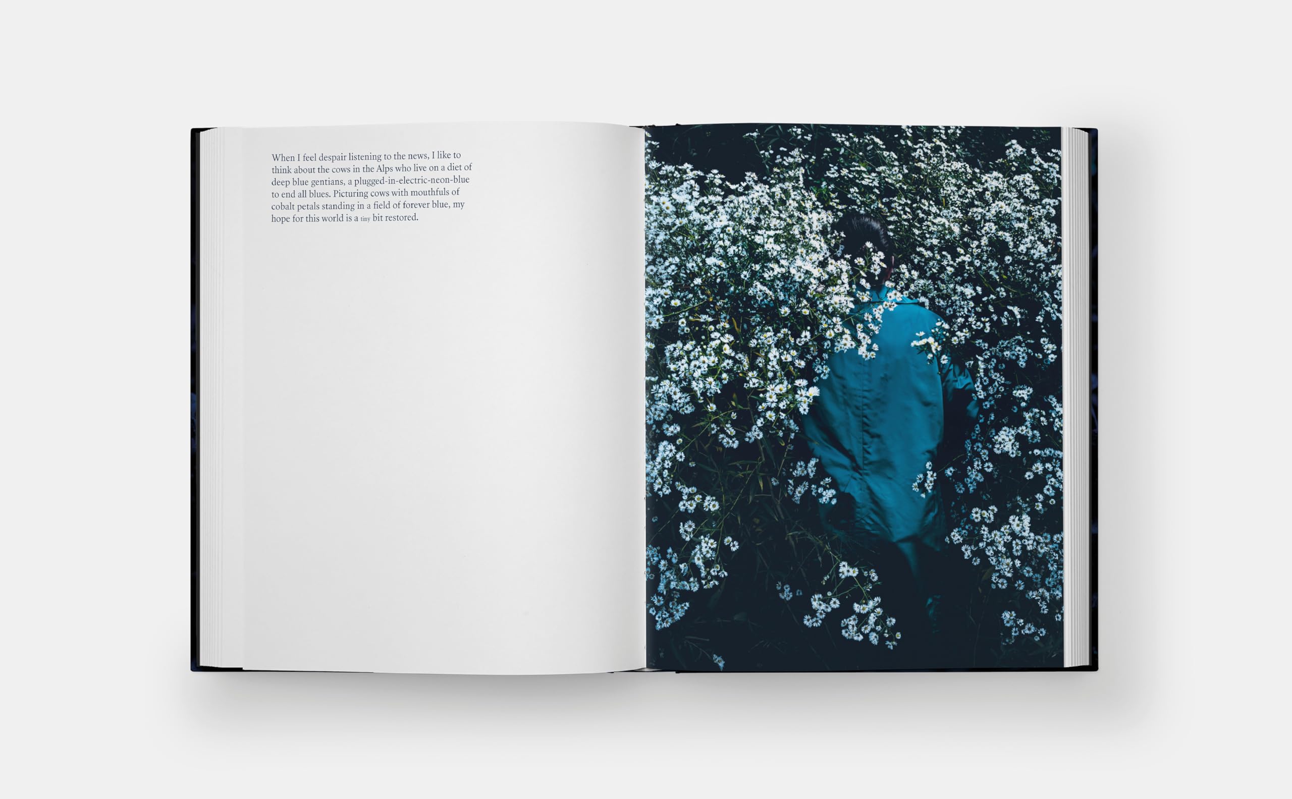 Blue Violet (The Monacelli Press)