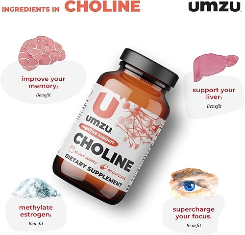 Miniatura 4 de UMZU Suplemento de colina para apoyo cognitivo y hormonal | El refuerzo de acetilcolina ayuda a la concentración cerebral, la memoria y el