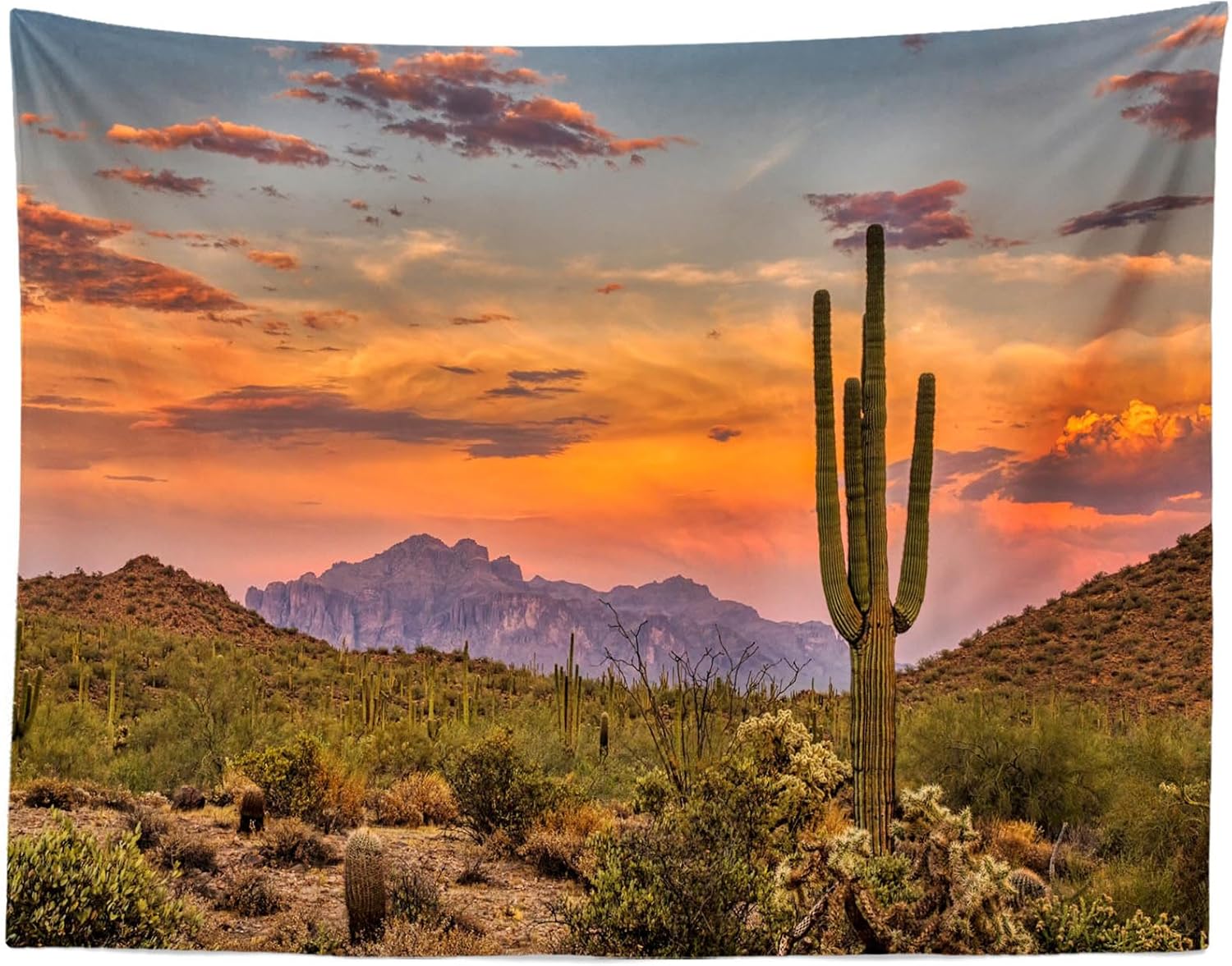 Loccor 118''x98'' Desert Cactus Tapestry Mexico National Park Desert Desolate Place Huge Cactuses Wildness Weathered Mountains Wall Hangings for Adults Kids Bedroom Drom Decor