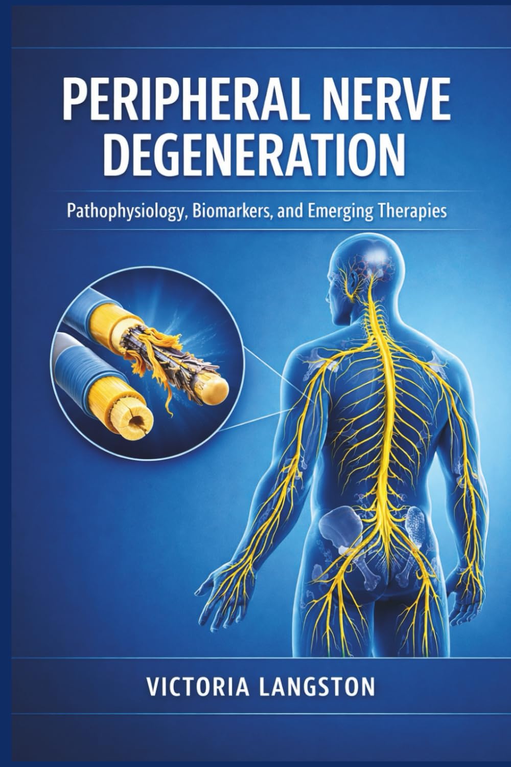 Peripheral Nerve Degeneration: Pathophysiology, Biomarkers, and Emerging Therapies