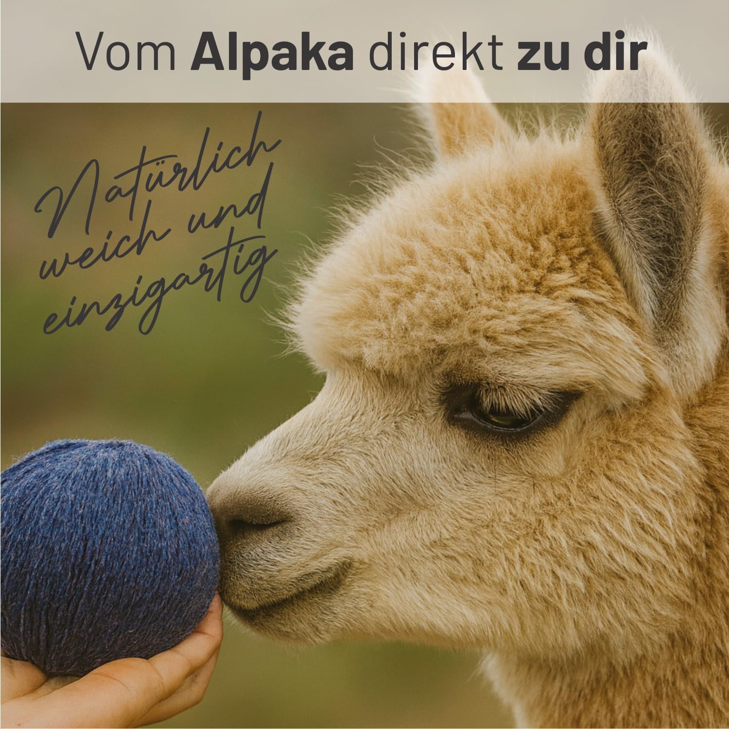 HANSA-FARM |Alpawool 100% Royal Alpaka 200g Set (4 x 50g) edel und absolut kratzfreie Wolle zum Stricken & Häkeln - HF275 Smaragd Melange