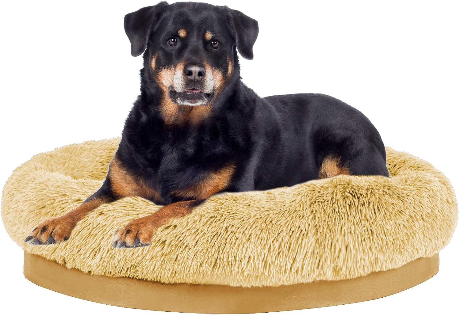 cuddler dog bed medium