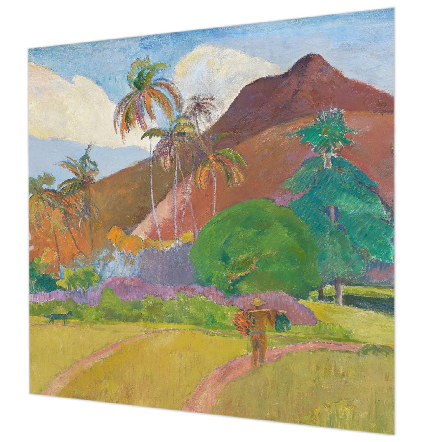 Papier peint lavable 250x250 décoration murale jungle salon et chambre