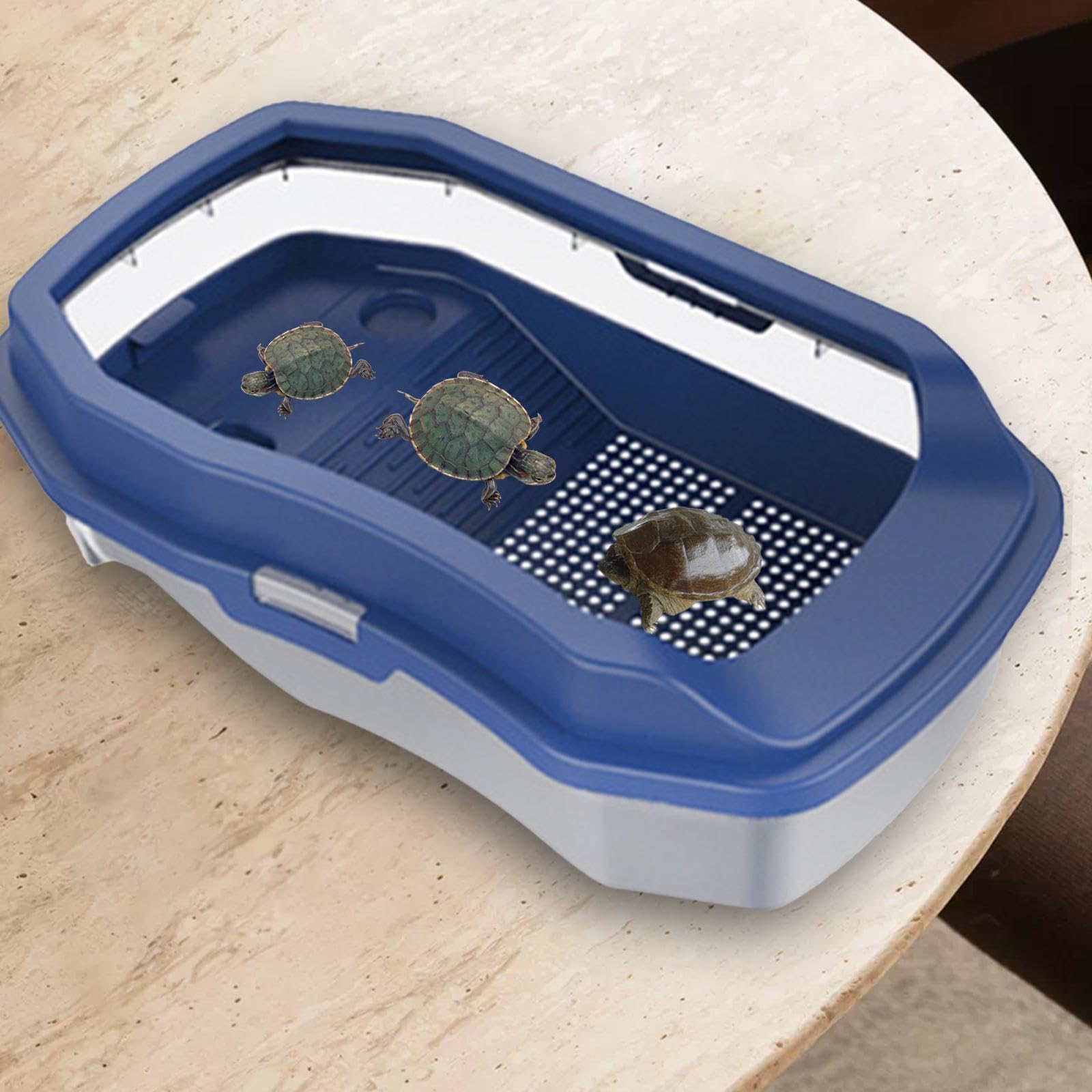 Żółw Akwarium Tortoise Terrarium z Platformą Duża Kosmiczna Obudowa Gad Czołg Niebieski