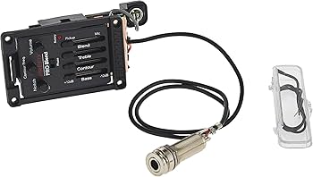 Amazon | FISHMAN Onboard Preamps Prefix Pro Blend Preamp - wide