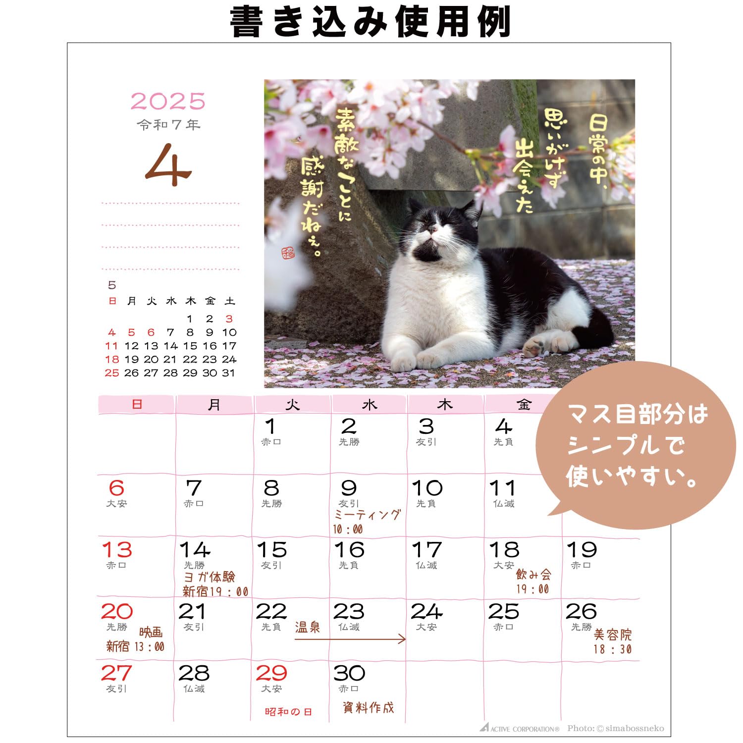 ※日々ページです※ Amazon.co.jp: アクティブコーポレーション 2025年 カレンダー