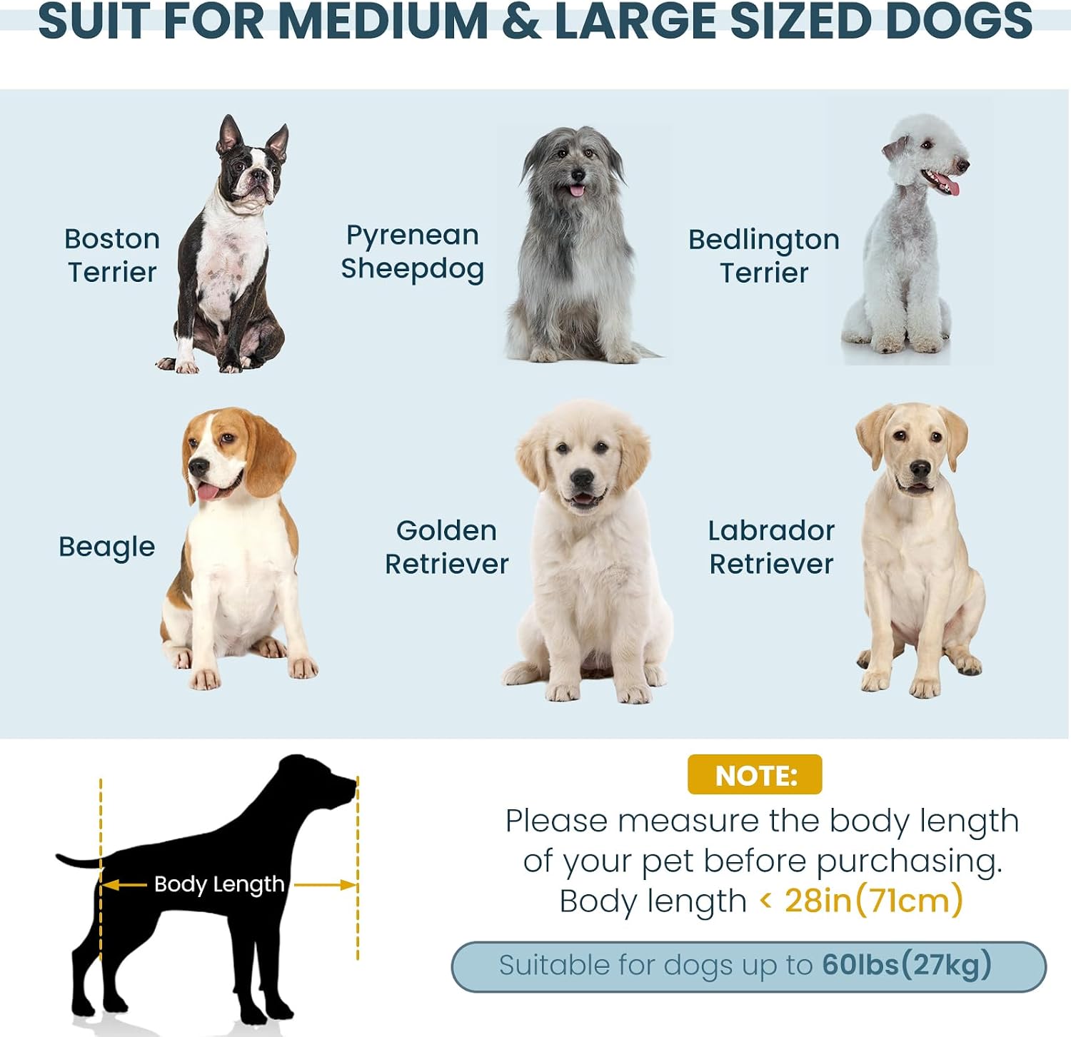 Elevated Dog Sofa with Backrest and Armrests, Cozy Dog Couch Bed with Soft Cushion for Medium Dogs, Modern Lounging Bed Pet Couch Chair, 60Lbs Weight Capacity, Blue